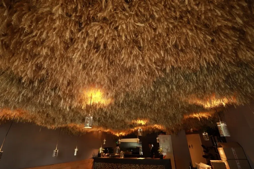 Surface Construcciones — Morchella, cielorraso artesanal de trigo iluminado