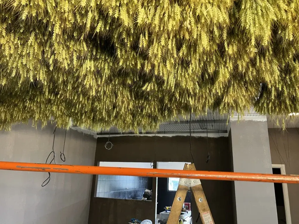 Surface Construcciones — diseño y ejecución de Morchella, obra en construcción