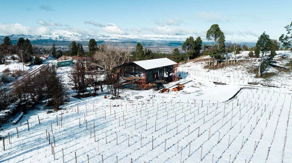 Surface Construcciones — Viñedo y bodega en Trevelin (Patagonia), panorámica aérea del viñedo nevado