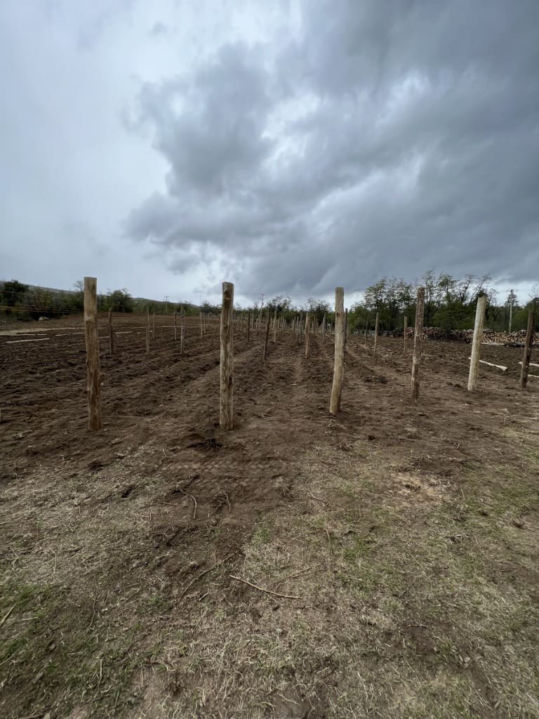 Surface Construcciones — Viñedo y bodega en Trevelin (Patagonia), terreno original antes de la obra