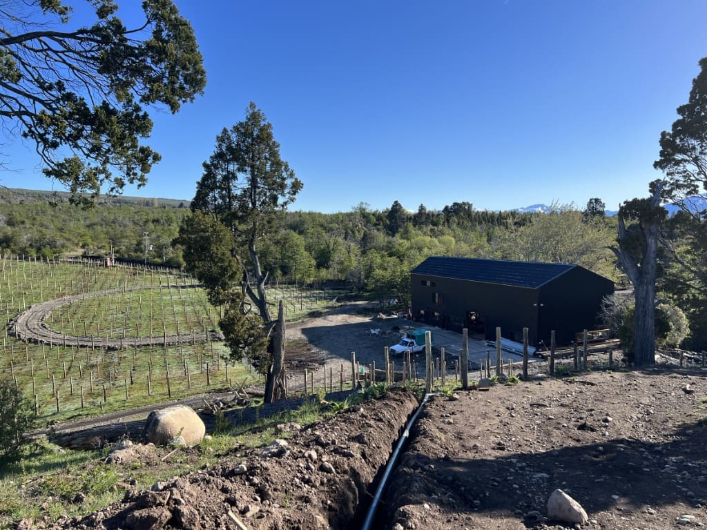 Surface Construcciones — Viñedo y bodega en Trevelin (Patagonia), terminaciones interiores de la bodega